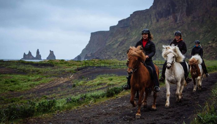 Horse Riding Iceland IMG 02